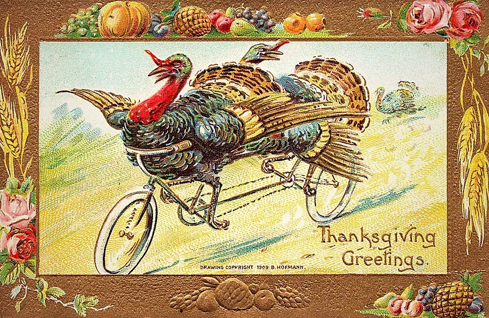 Embossed Thanksgiving Postcard 2 Turkeys on Tandem Bicycle - ca 1909